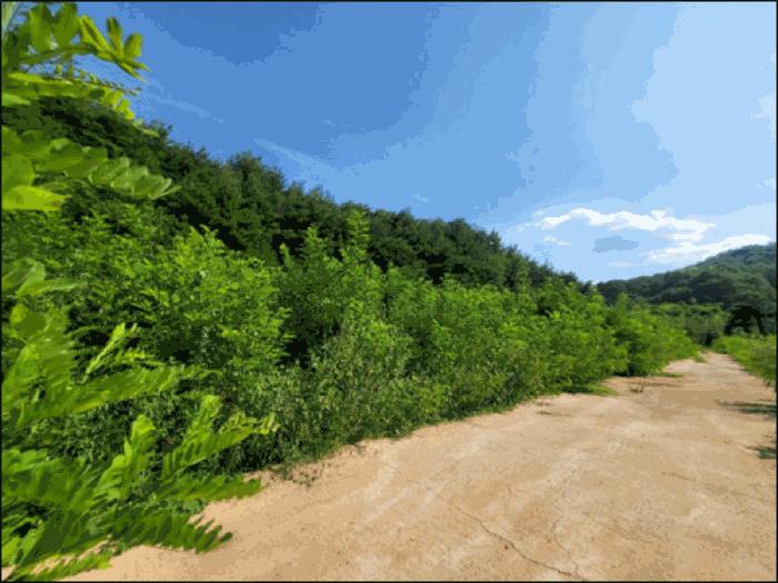강원특별자치도 동해시 망상동 320-14 대지 경매 사진 10