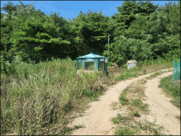 강원특별자치도 동해시 망상동 320-14 대지 경매 사진 14