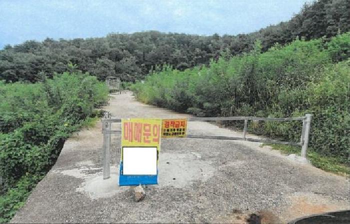 강원특별자치도 동해시 망상동 320-14 대지 경매 사진 21