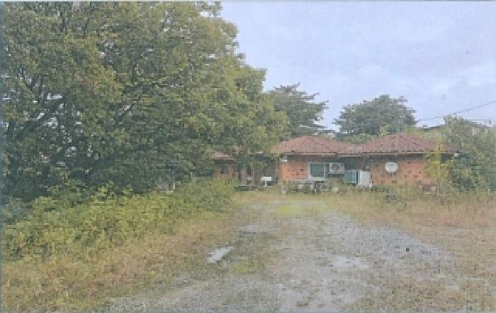 강원특별자치도 강릉시 구정면 어단리 860-28 주택 경매 사진 11