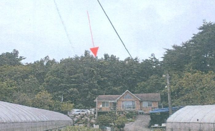 강원특별자치도 강릉시 박월동 산22 임야 경매 사진 11