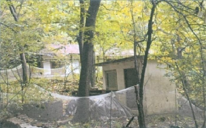 강원특별자치도 강릉시 박월동 산33 임야 경매 사진 13