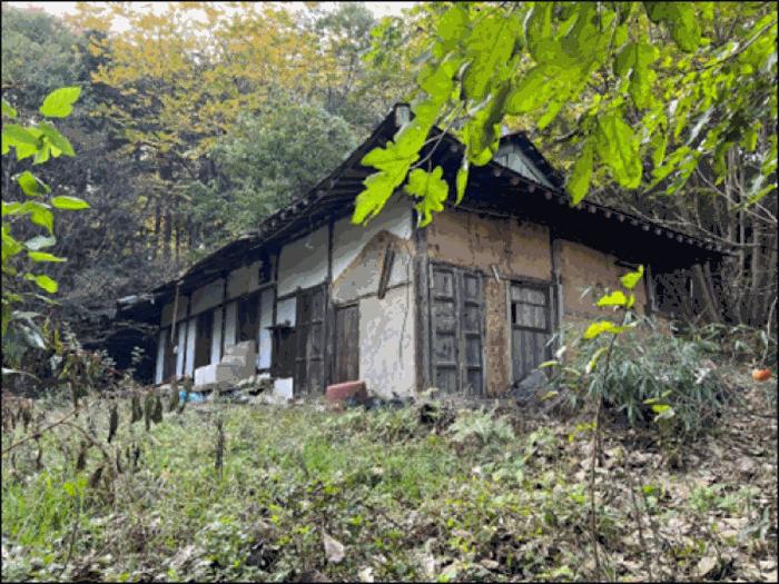 강원특별자치도 강릉시 박월동 산33 임야 경매 사진 2