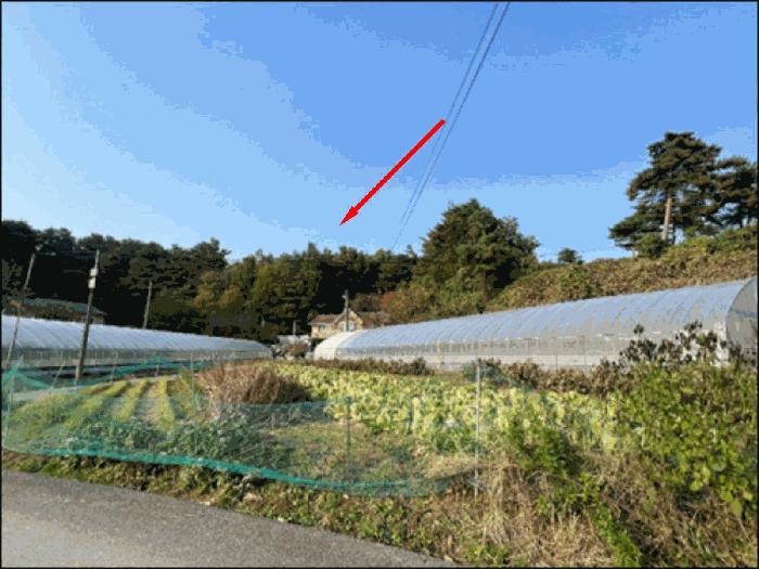 강원특별자치도 강릉시 박월동 산33 임야 경매 사진 4