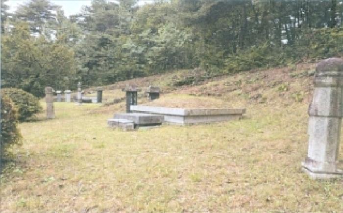 강원특별자치도 강릉시 박월동 산33 임야 경매 사진 9