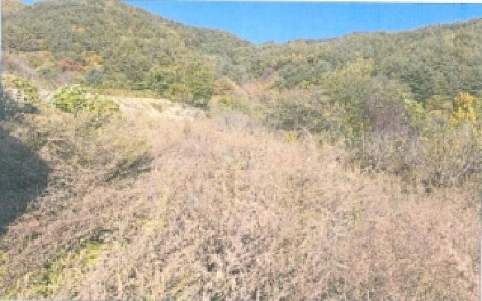 강원특별자치도 강릉시 연곡면 삼산리 818-7 펜션(캠핑장) 경매 사진 10
