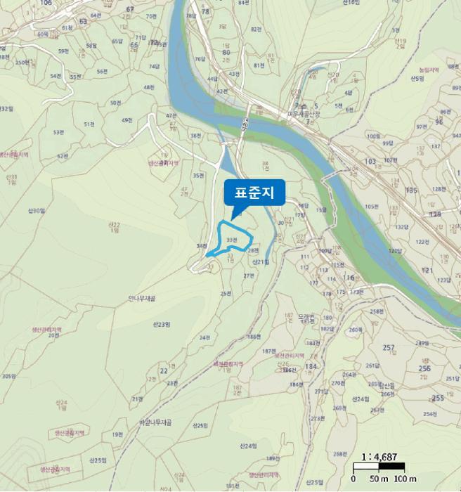 충청북도 단양군 대강면 무수천리 151 전 경매 사진 9