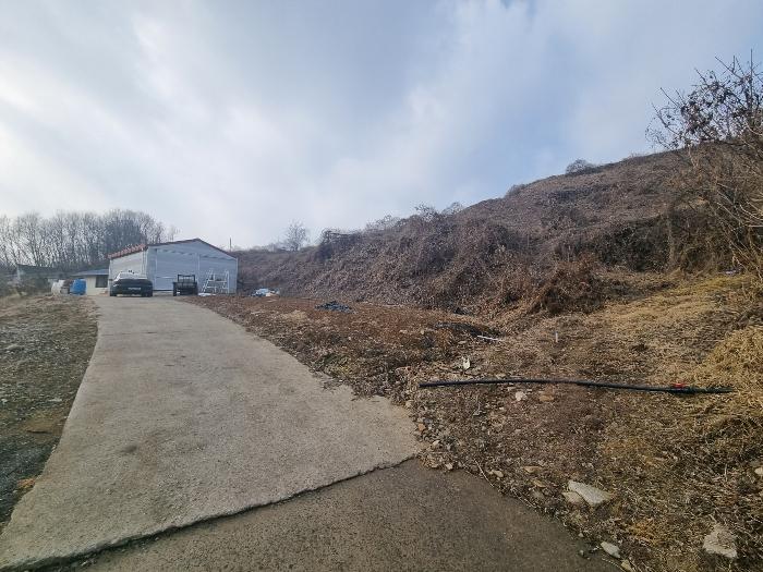 충청북도 충주시 살미면 설운리 95 전 경매 사진 1