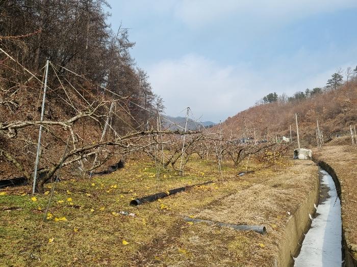 충청북도 충주시 살미면 설운리 95 전 경매 사진 14