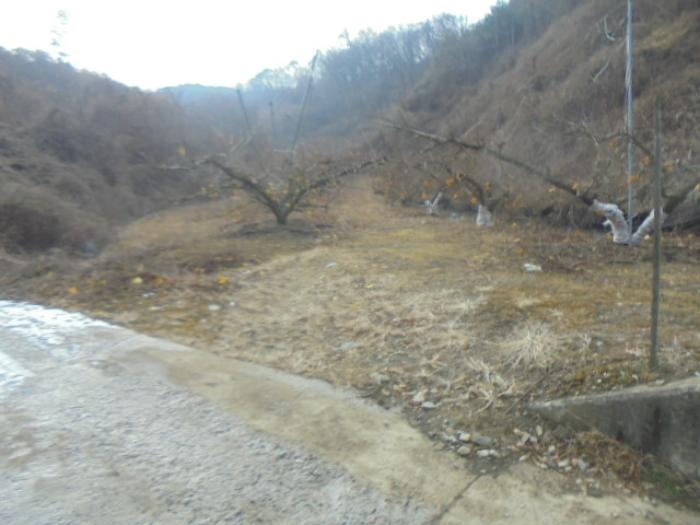 충청북도 충주시 살미면 설운리 95 전 경매 사진 22