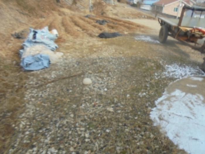 충청북도 충주시 살미면 설운리 95 전 경매 사진 25