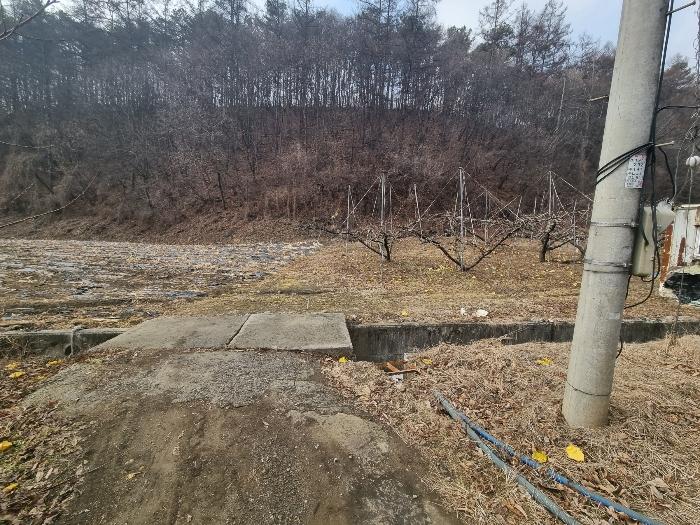 충청북도 충주시 살미면 설운리 95 전 경매 사진 3