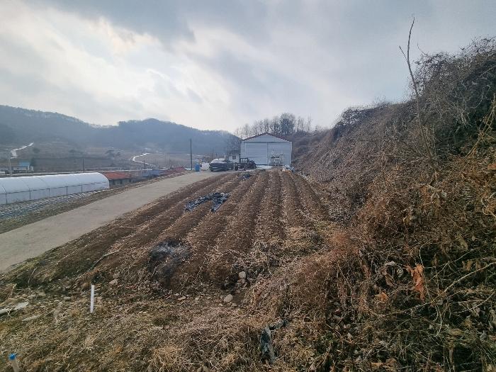 충청북도 충주시 살미면 설운리 95 전 경매 사진 5