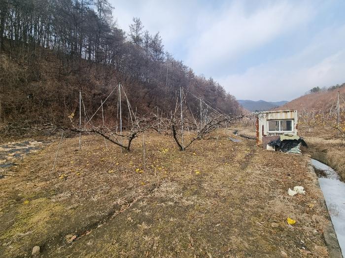 충청북도 충주시 살미면 설운리 95 전 경매 사진 7