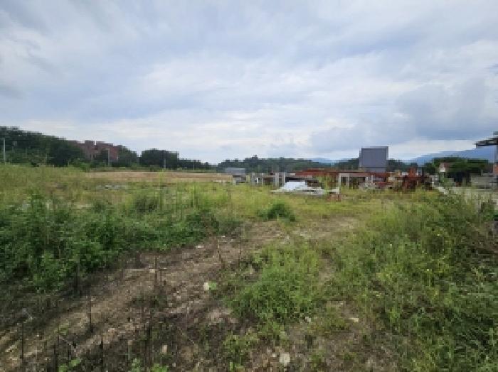 충청북도 제천시 고암동 114 답 경매 사진 6