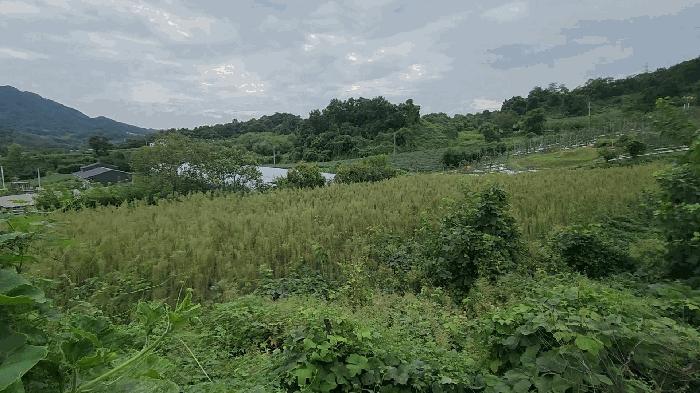 충청북도 단양군 어상천면 방북리 67 전 경매 사진 1