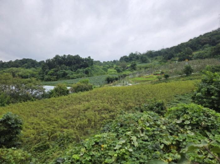 충청북도 단양군 어상천면 방북리 67 전 경매 사진 3