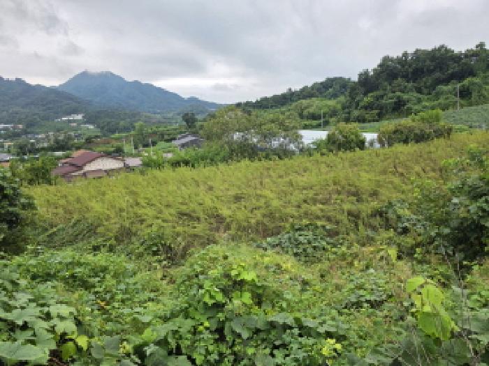 충청북도 단양군 어상천면 방북리 67 전 경매 사진 4