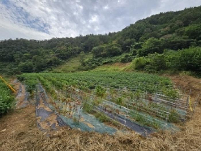충청북도 단양군 어상천면 방북리 67 전 경매 사진 6