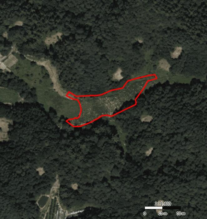 충청북도 제천시 장락동 2 전 경매 사진 11