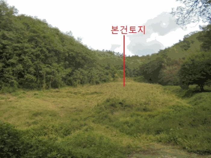 충청북도 제천시 장락동 2 전 경매 사진 2