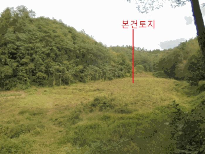 충청북도 제천시 장락동 2 전 경매 사진 4