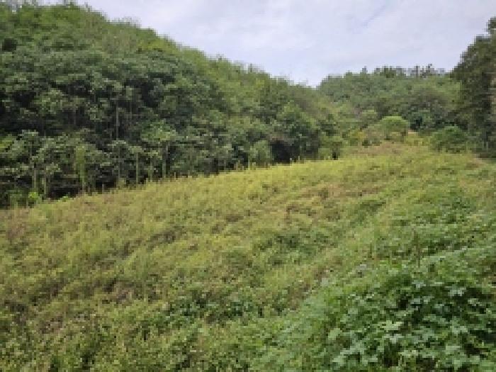 충청북도 제천시 장락동 2 전 경매 사진 6