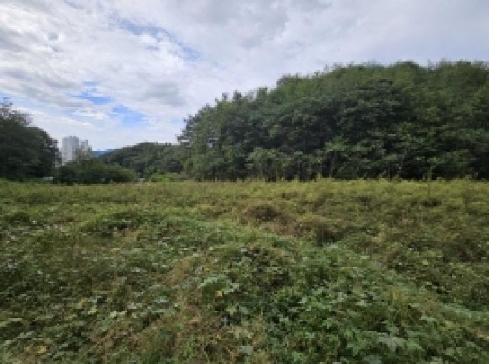충청북도 제천시 장락동 2 전 경매 사진 8
