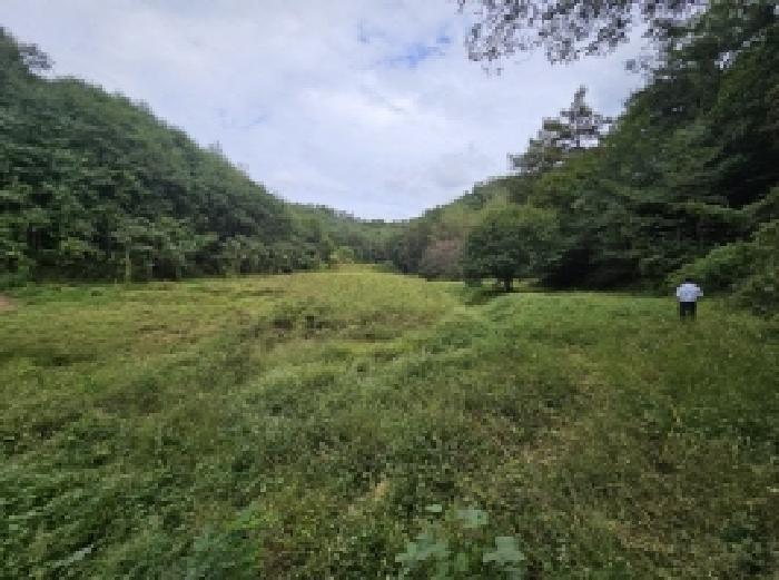 충청북도 제천시 장락동 2 전 경매 사진 9