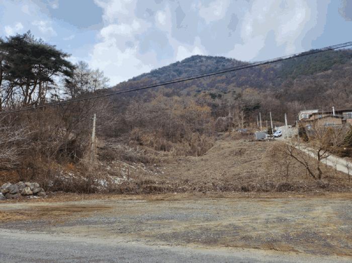 충청북도 제천시 청풍면 연곡리 204 임야 경매 사진 1