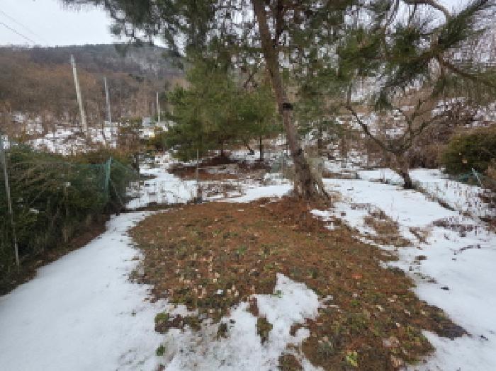 충청북도 제천시 청풍면 연곡리 204 임야 경매 사진 23