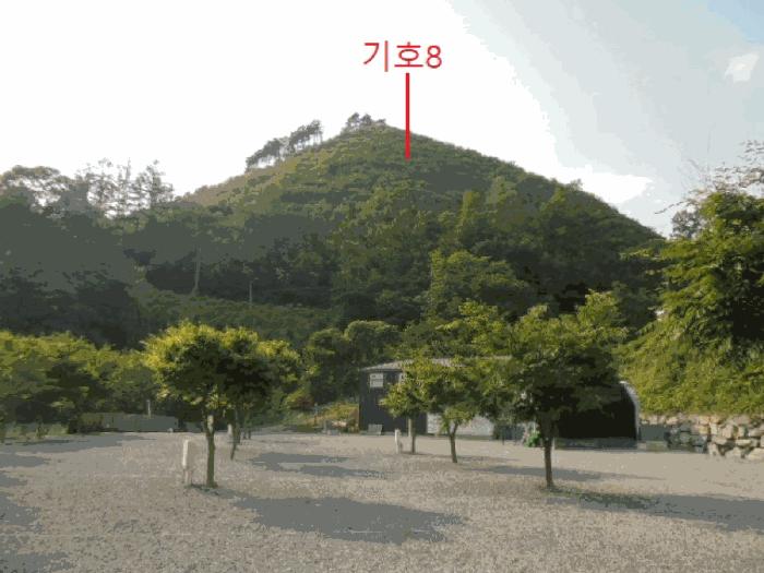 충청북도 제천시 송학면 오미리 산70 임야 경매 사진 12