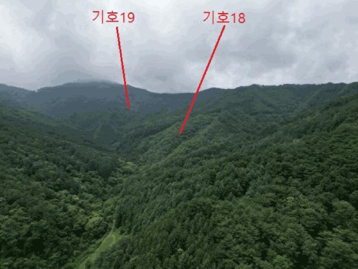 충청북도 제천시 송학면 오미리 산70 임야 경매 사진 24