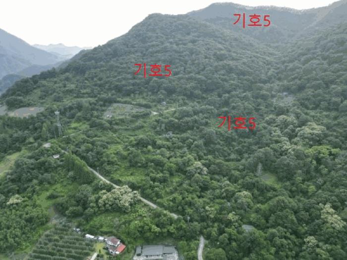 충청북도 제천시 송학면 오미리 산70 임야 경매 사진 25