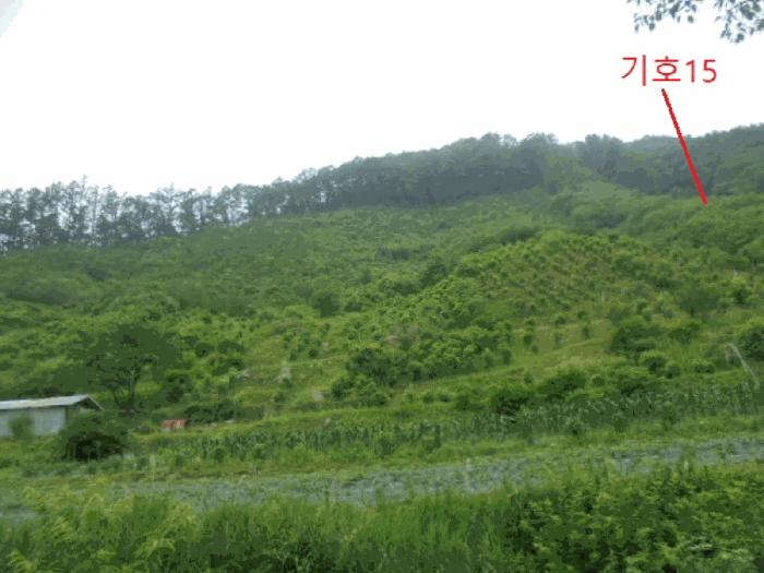 충청북도 제천시 송학면 오미리 산70 임야 경매 사진 35