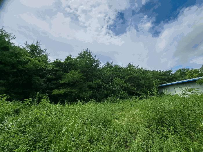 충청북도 충주시 중앙탑면 창동리 385-1 전 경매 사진 1