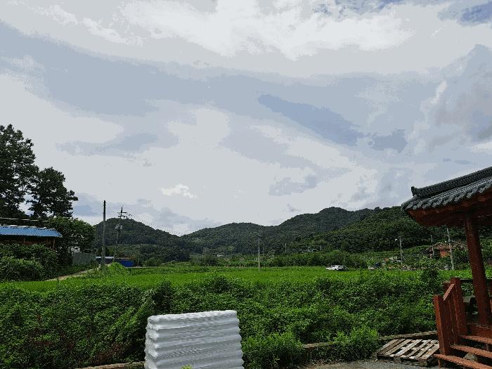 충청북도 충주시 중앙탑면 창동리 385-1 전 경매 사진 5
