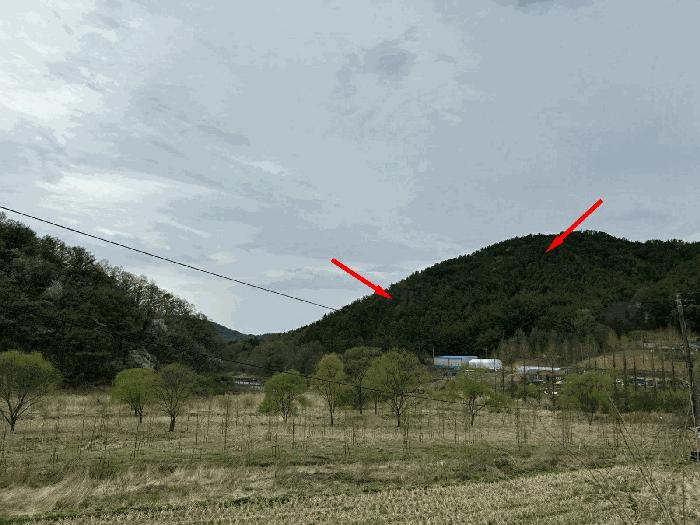 대전 동구 임야