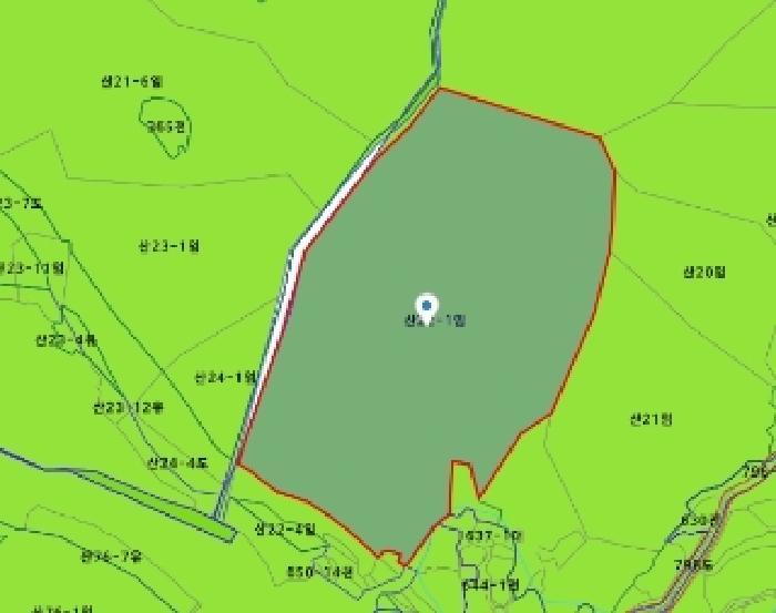 대전광역시 동구 직동 산22-1 임야 경매 사진 34