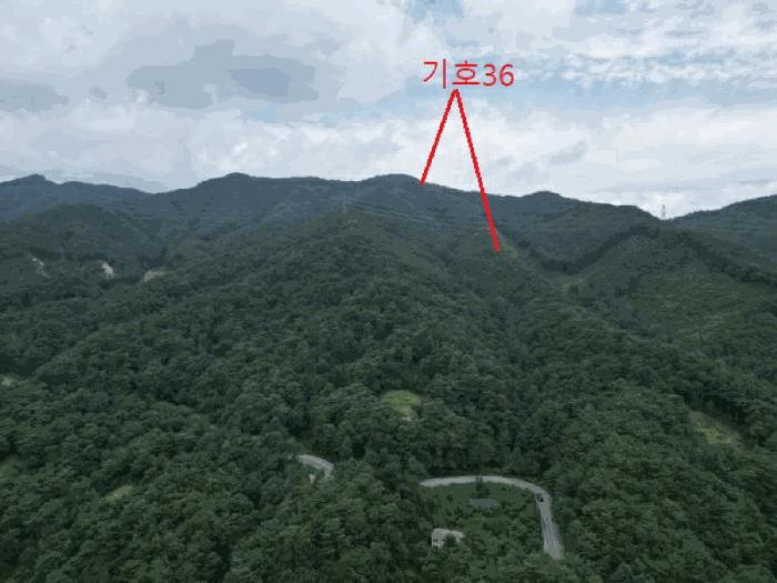충청북도 제천시 금성면 성내리 산48-1 임야 경매 사진 10
