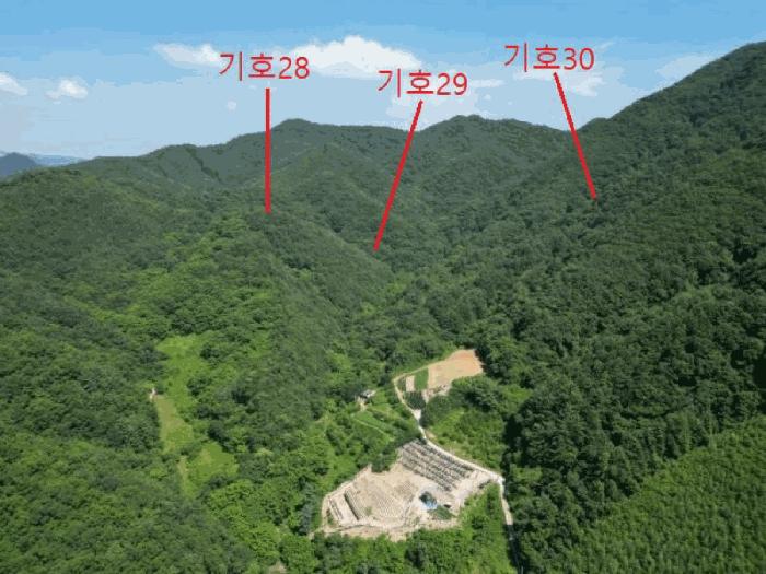 충청북도 제천시 금성면 성내리 산48-1 임야 경매 사진 11