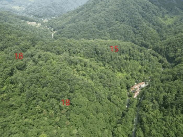 충청북도 제천시 금성면 성내리 산48-1 임야 경매 사진 12