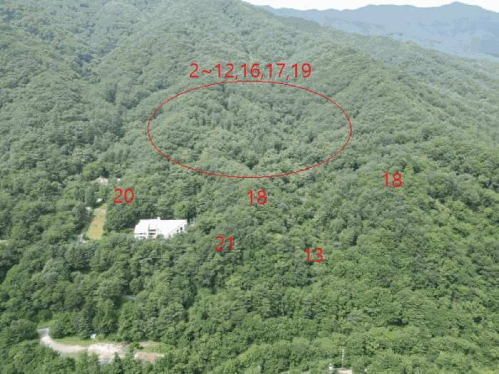 충청북도 제천시 금성면 성내리 산48-1 임야 경매 사진 18