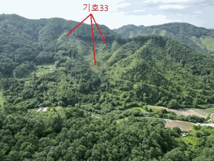 충청북도 제천시 금성면 성내리 산48-1 임야 경매 사진 20