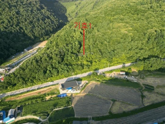 충청북도 제천시 금성면 성내리 산48-1 임야 경매 사진 28