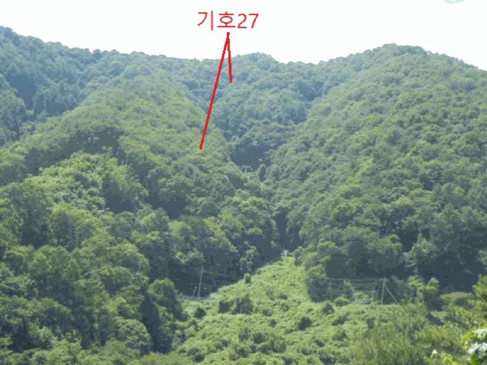 충청북도 제천시 금성면 성내리 산48-1 임야 경매 사진 31