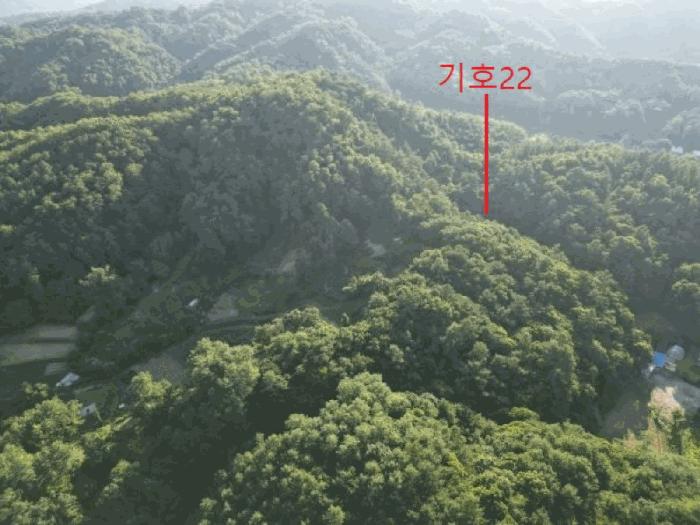 충청북도 제천시 금성면 성내리 산48-1 임야 경매 사진 32