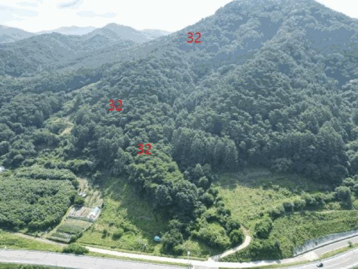 충청북도 제천시 금성면 성내리 산48-1 임야 경매 사진 43