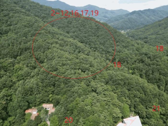 충청북도 제천시 금성면 성내리 산48-1 임야 경매 사진 46