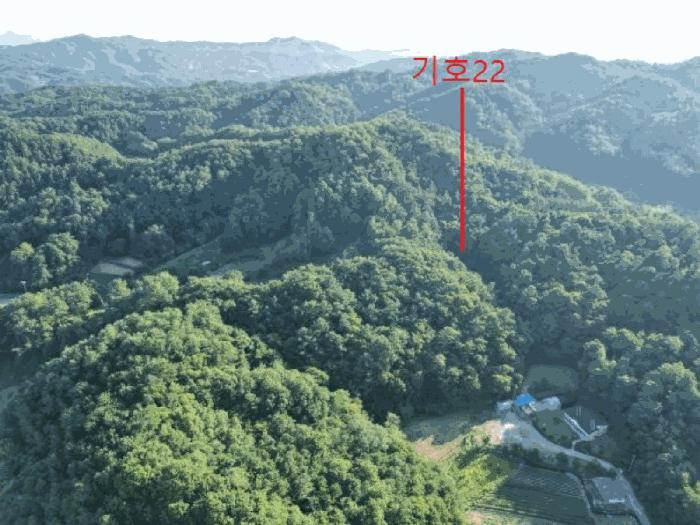 충청북도 제천시 금성면 성내리 산48-1 임야 경매 사진 49